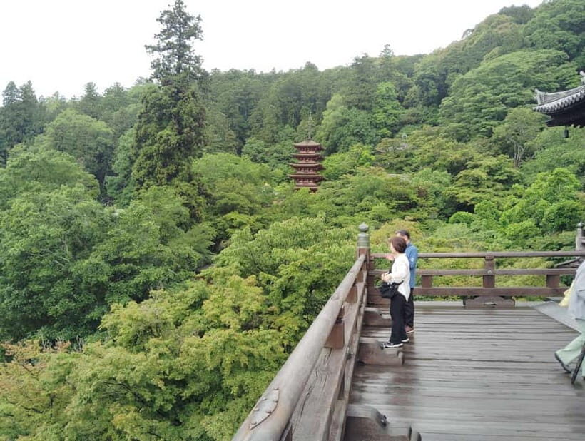 Nara: Explore Hasederas Giant Kannon and Cliffside Temple - Discovering Hasedera: A Sacred Treasure in Nara