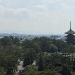 Nara: Full-Day Private Guided Tour - What Makes This Tour Stand Out?