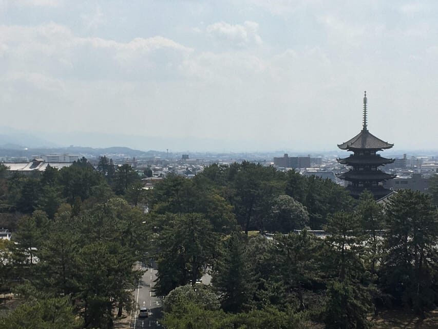 Nara: Full-Day Private Guided Tour - What Makes This Tour Stand Out?