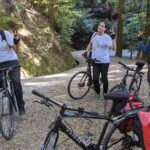 Nara - Heart of Nature Bike Tour - Practicalities and Value