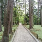 Nara: Hidden World Heritage  Yakushi-ji & Toshodai-ji (3H) - Exploring Nara’s Hidden Heritage: Yakushi-ji & Toshodai-ji