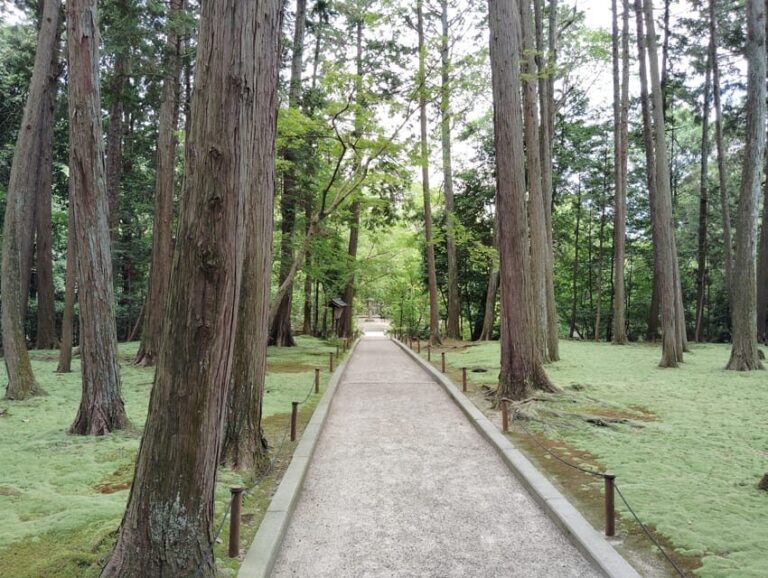 Nara: Hidden World Heritage  Yakushi-ji & Toshodai-ji (3H) - Exploring Nara’s Hidden Heritage: Yakushi-ji & Toshodai-ji