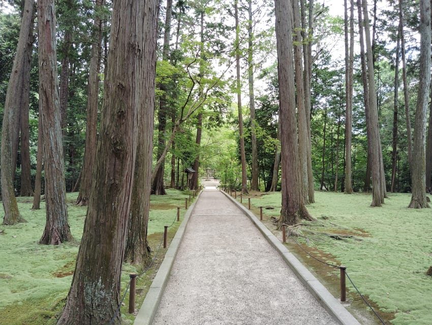 Nara: Hidden World Heritage Yakushi-ji & Toshodai-ji (3H) - Exploring Nara’s Hidden Heritage: Yakushi-ji & Toshodai-ji