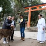 Nara: Kasuga Taisha, Sacred Deer Shrine Guided Tour - A Closer Look at the Experience
