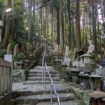 Nara: Mt. Ikoma Guided Hiking Tour with Cable Car and Views - What Travelers Are Saying