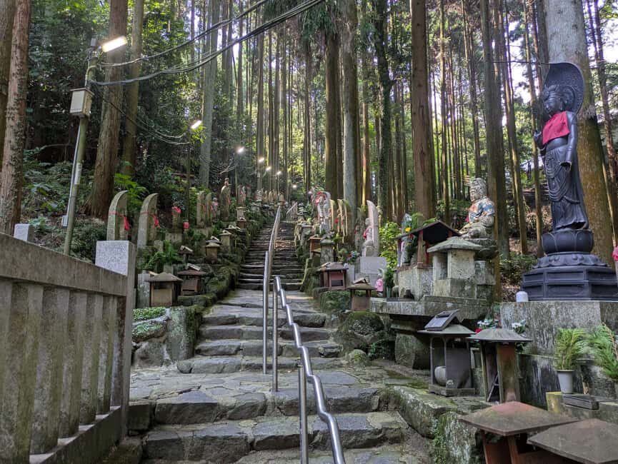 Nara: Mt. Ikoma Guided Hiking Tour with Cable Car and Views - What Travelers Are Saying