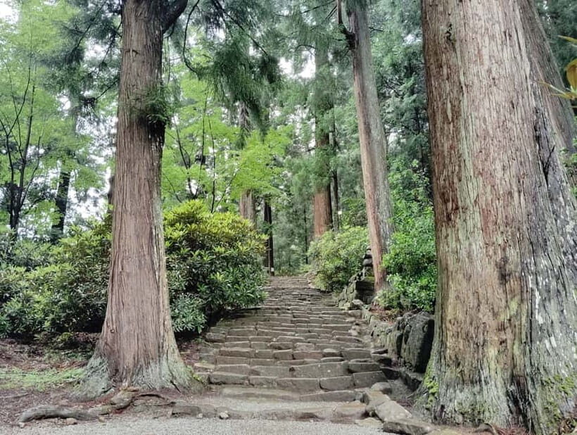 Nara: Muro-ji Temple Serenity, Tradition and Sacred Beauty - Why This Tour Makes Sense