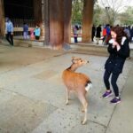 Nara: Nara Park Private Family Bike Tour with Lunch - Who Will Enjoy This Tour?