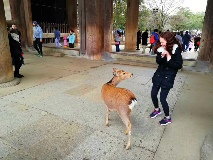 Nara: Nara Park Private Family Bike Tour with Lunch - Who Will Enjoy This Tour?