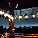 Nara: Night Walking Guided Tour - Beauty in a Peaceful Night - Who Should Consider This Experience?