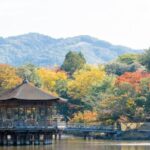 Nara: Private City Tour With A Local Guide - Who Should Consider This Tour?