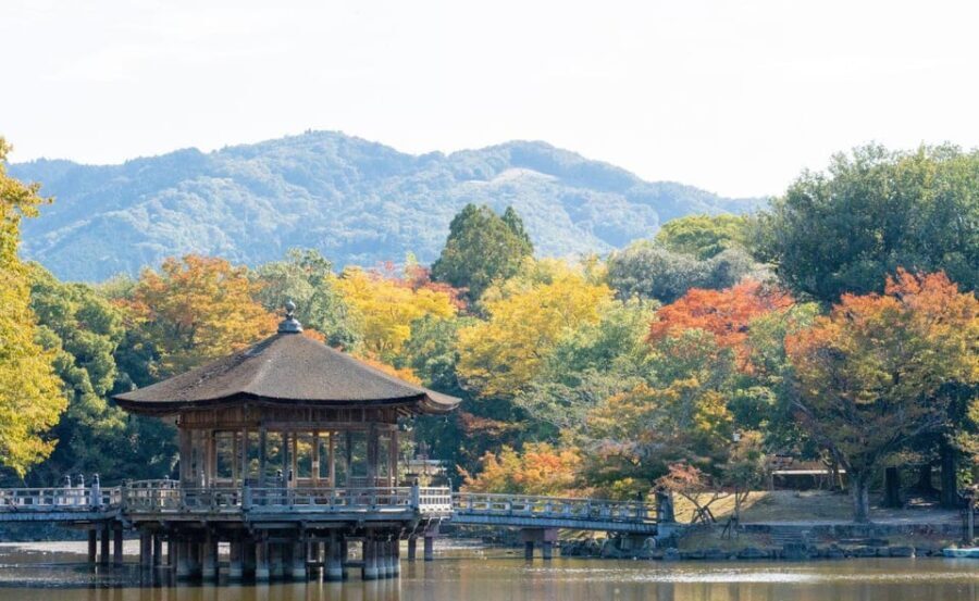 Nara: Private City Tour With A Local Guide - Who Should Consider This Tour?