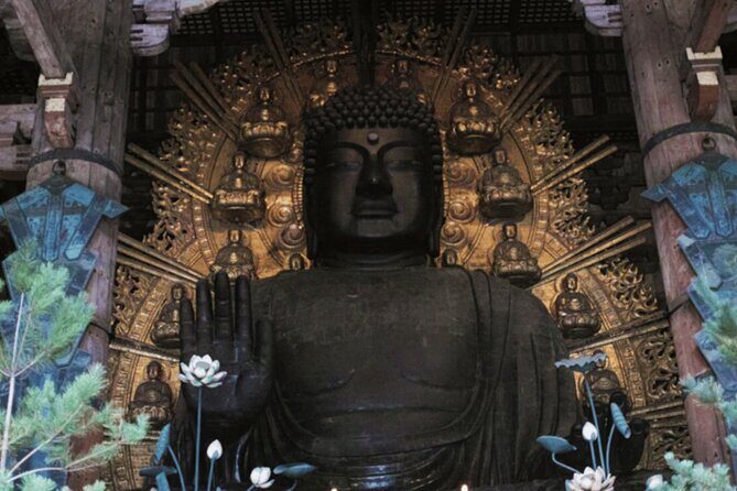 Nara Private Custom Tour with Local Guide - Final Thoughts: Is It Worth It?