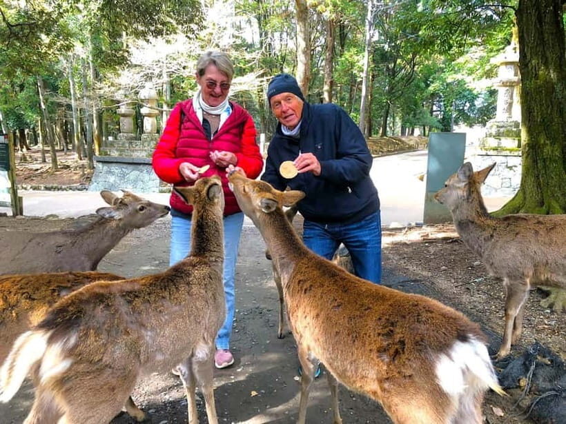 Nara: Private Custom Walking Tour with Local Guide - FAQ