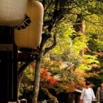 Nara Private Customizable Full Day Tour - Exploring the Customization and What It Means for You