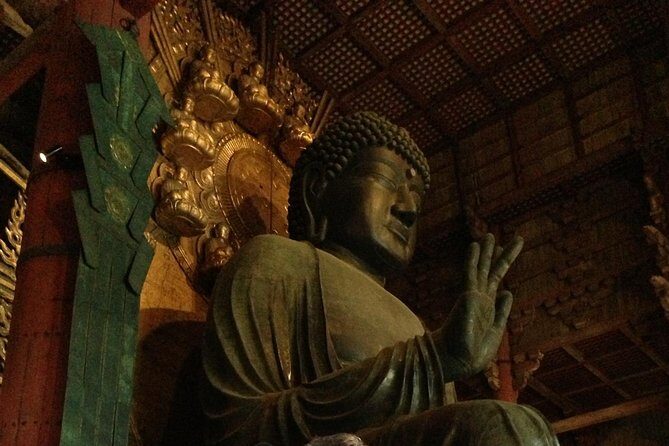 Nara private tour (Shore excursion available from Osaka or Kobe port) - Who Will Love This Tour?