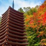 Nara: Private Tour with Private Guide - A Deep Dive into the Nara Private Tour