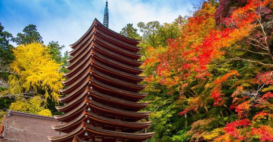 Nara: Private Tour with Private Guide - A Deep Dive into the Nara Private Tour