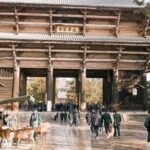 Nara: Private Walking Tour with a Local - Why Choose This Tour?