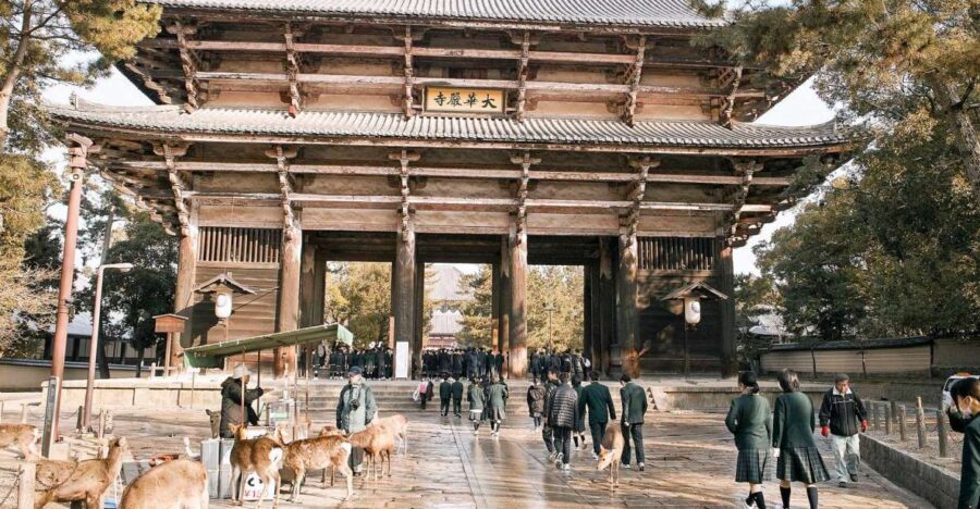 Nara: Private Walking Tour with a Local - Why Choose This Tour?