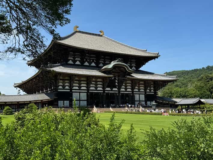 Nara: Todai-jis Great Buddha & All Its Treasures in 2 Hours - An In-Depth Look at the Tour Experience