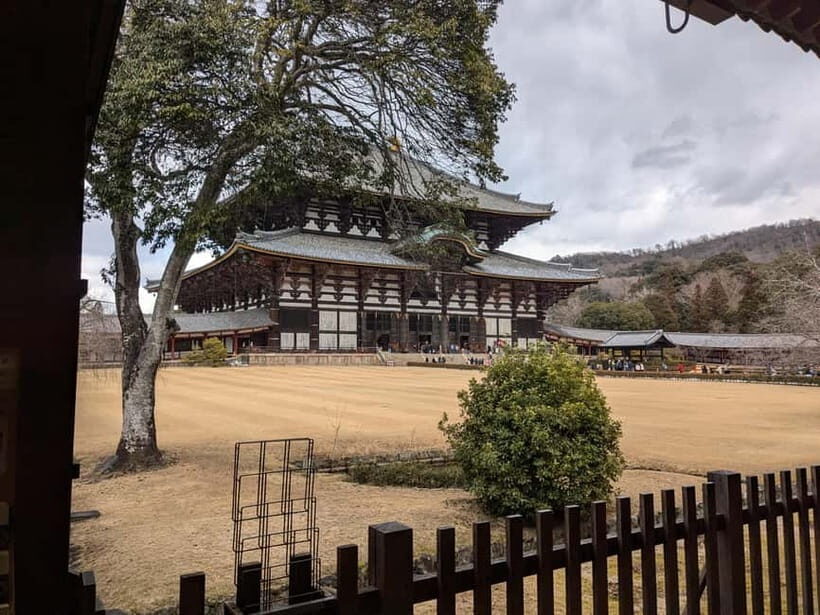 Nara: UNESCO Heritage Sites & Deer Park Tour with Pro guide - An In-Depth Look at the Nara UNESCO Heritage Tour
