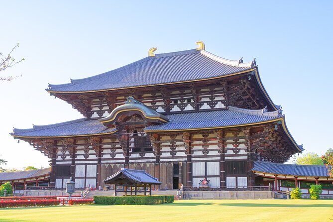Nara World Heritage PRIVATE TOUR - Exploring Nara in Depth: What to Expect