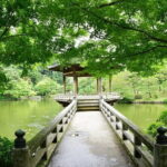 Narita Shinshoji Temple and Sakura Samurai Residences by car - Why Choose This Tour?