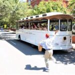 Narrated Historic Savannah Sightseeing Trolley Tour - Who Will Love This Tour?