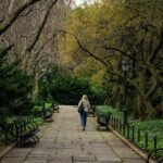 Nashville Family Discovery: A Private Downtown Adventure - An In-Depth Look at Nashville Family Discovery: A Private Downtown Adventure