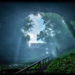 Nashville to Kentucky Caves & Kangaroos: A Day of Enchantment - What We Think About the Tour: Pros and Cons