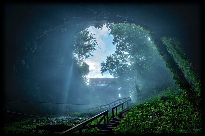 Nashville to Kentucky Caves & Kangaroos: A Day of Enchantment - What We Think About the Tour: Pros and Cons