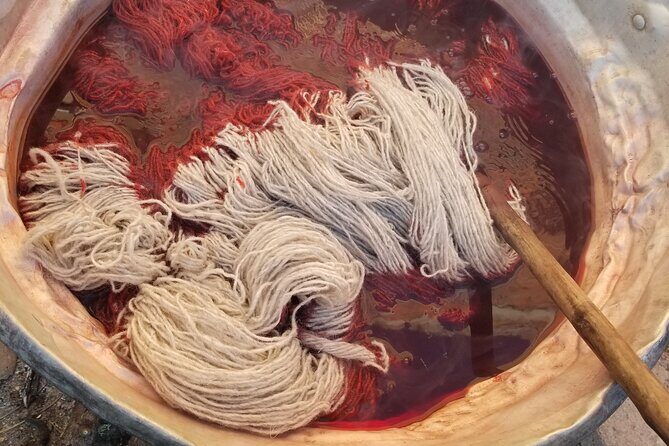 Natural Dyeing and Organic Weaving Workshop in Oaxaca - Who Should Consider This Experience?