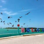 Natural Pink Lake Tour Las Coloradas only from Playa del Carmen - An In-Depth Look at the Tour Experience