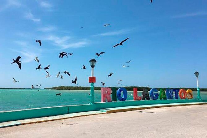 Natural Pink Lake Tour Las Coloradas only from Playa del Carmen - An In-Depth Look at the Tour Experience