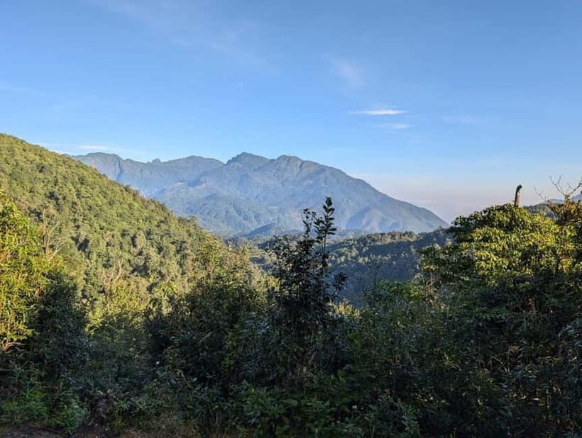 Natural. The 1D Fansipan peak .HmongSisterHouse&Trekking - Exploring the Fansipan Trek in Detail