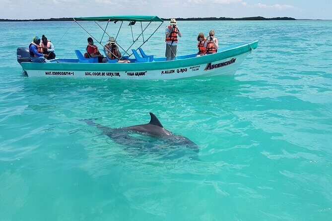 Nature Day, Sian Kaan Biosphere Tour! Round Transportation from Tulum City - Final Thoughts: Who Is This Tour For?