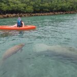 Nature & Island Exploration on SUP/Kayak - What You Get and What It Means for You