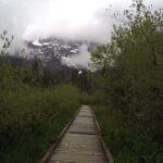 Nature Tour/Hike - Who Will Appreciate This Tour?