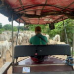 Nature tour through Battambang/Local area and landmarks - Deep Dive into the Battambang Nature Tour