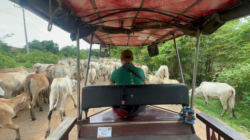 Nature tour through Battambang/Local area and landmarks - Deep Dive into the Battambang Nature Tour