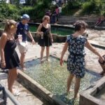 Nature Tour to Kuala Selangor Fireflies and Selayang Hotspring - The Sum Up