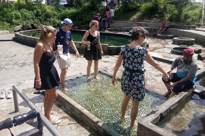 Nature Tour to Kuala Selangor Fireflies and Selayang Hotspring - The Sum Up