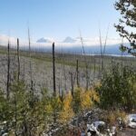 Nature Walk in Glacier National Park - An Authentic Glacier Experience: What to Expect