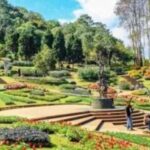 Nature Walk of Chandigarh( 2 Hours Walking Tour) - An authentic glimpse into Chandigarh’s natural beauty