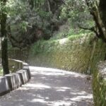 Nature Walk of Mussoorie (2 Hours Guided Walking Tour) - Why This Tour Is Worth It