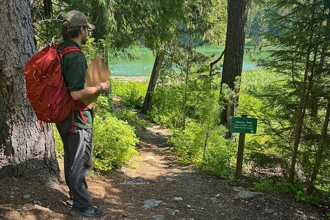 Nature Walk - A Thorough Look at the Nature Walk Experience