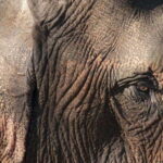 Nature wellness retreat - Exploring the Details: What to Expect on This Retreat