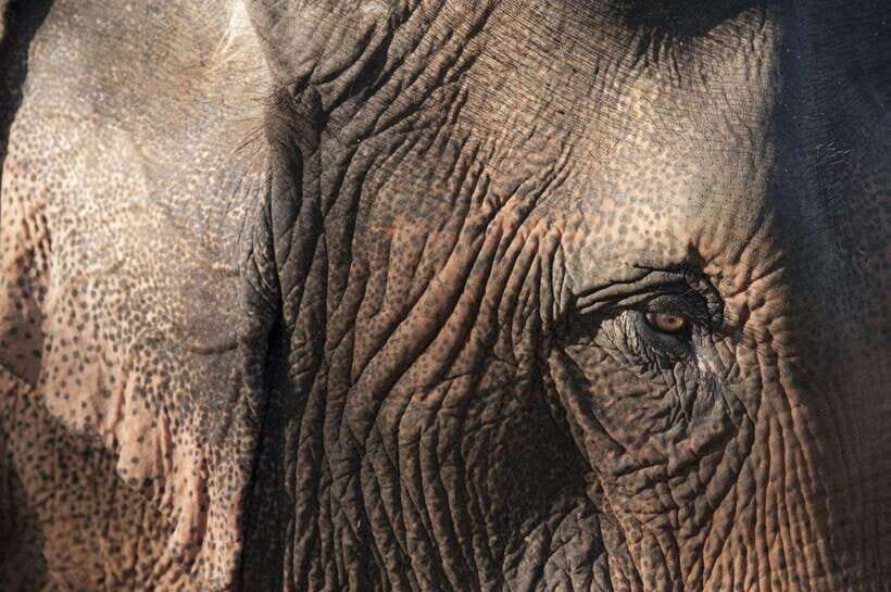 Nature wellness retreat - Exploring the Details: What to Expect on This Retreat