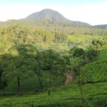 Nature's healing Bandung country side - The Value of This Experience